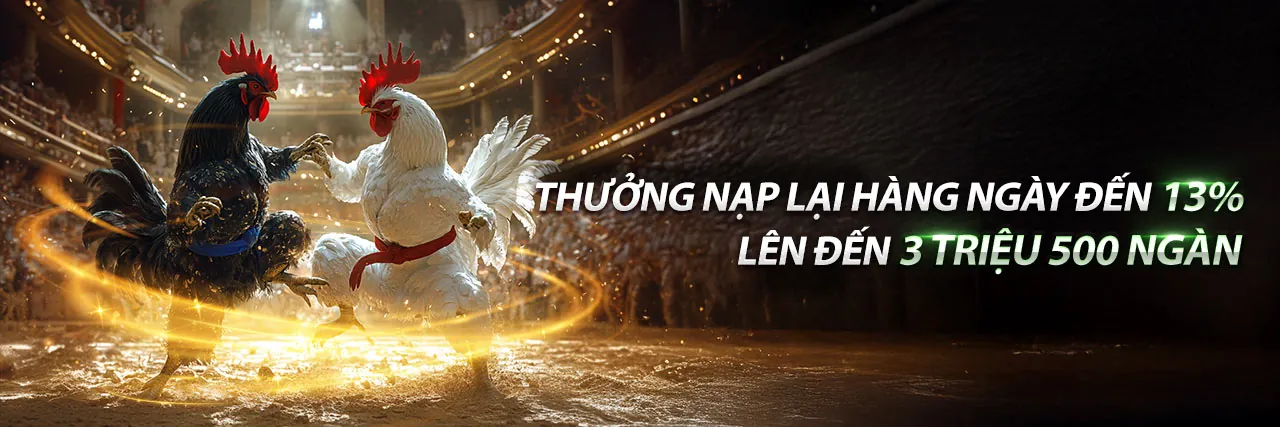 Đá gà cựa dao .net – Sân đấu kịch tính